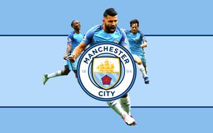 Enjoying success together: Manchester City players celebrating their victory manchester city wallpaper