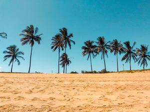 Enjoying the beautiful beach and a peaceful day. beach wallpaper