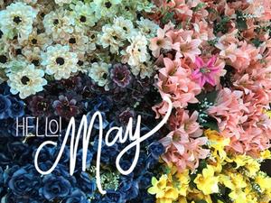 Enjoying the beauty of May! may wallpaper