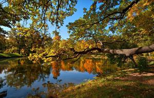Enjoying the Colors of Fall at the Pond fall wallpaper