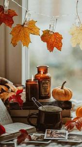 Enjoying the peace and tranquility of a sunset in the fall fall aesthetic wallpaper