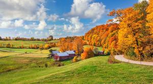 Enjoying The Warm Sun On A Crisp Fall Day fall wallpaper