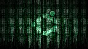 Enter the digital world of the Matrix matrix wallpaper
