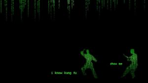 Enter The Matrix matrix wallpaper