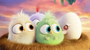 Enter the World of Angry Birds movie wallpaper