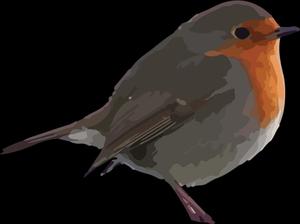 European Robin Illustration Wallpaper