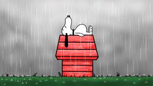 Everyone loves Snoopy! snoopy wallpaper