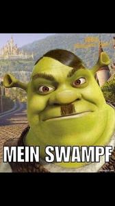 Everyone loves to laugh with Shrek funny shrek wallpaper