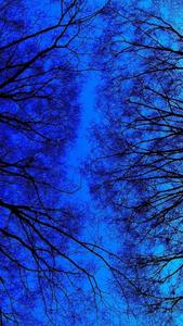 Experience serenity and contentment with the calming blue aesthetic. blue aesthetic wallpaper