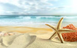 Experience the Excitement of Summer on a Beach summer wallpaper