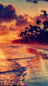 Experience the magic of nature's beautiful sunset at the beach shoreline.  Wallpaper