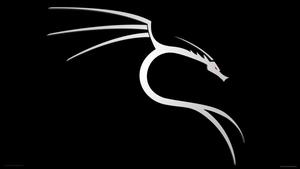 Experience the Power of Linux linux wallpaper