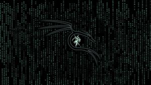 Experience the thrill and suspense of the iconic Matrix film matrix wallpaper