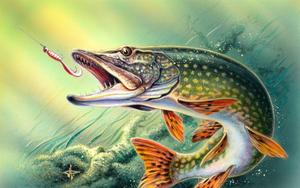 Experience the thrill of bass fishing! fishing wallpaper