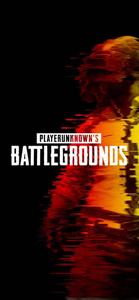 Experience the Thrill of Survival pubg wallpaper