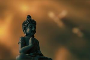 Explore Inner Peace with a Meditating Buddha buddha wallpaper
