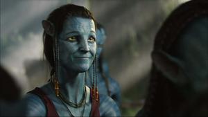 Explore the beautiful, strange world of Pandora in Avatar avatar wallpaper