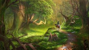 Explore the mystical Forest in The Legend of Zelda legend of zelda wallpaper