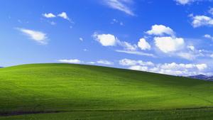 Explore the natural beauty of Windows XP windows xp wallpaper