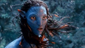 Explore the World of Avatar avatar wallpaper