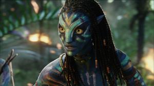 Explore the World of Pandora in Avatar avatar wallpaper