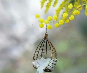 Express your feelings with a Whatsapp Dp. whatsapp dp wallpaper