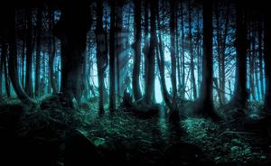 Face your fears! horror wallpaper