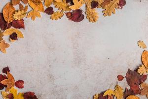 Fall Aesthetic Dried Leaves fall aesthetic wallpaper