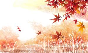 Fall Aesthetic Maple Artwork fall aesthetic wallpaper