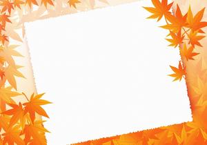 Fall Aesthetic Maple fall aesthetic wallpaper