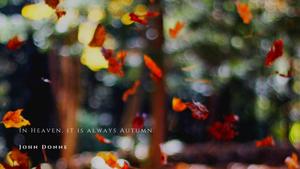 Fall Aesthetic Quote fall aesthetic wallpaper