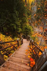 Fall Aesthetic Stairway fall aesthetic wallpaper