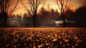 Fall Aesthetic Sunrise fall aesthetic wallpaper