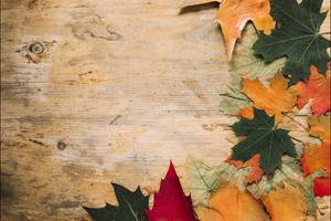 Fall Aesthetic Wood fall aesthetic wallpaper