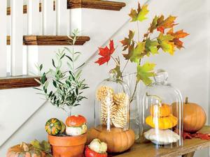 Fall vibes in an autumnal forest fall wallpaper