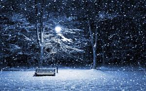 Falling Snow Winter Night winter wallpaper
