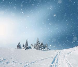 Falling Winter Snow Picture winter wallpaper