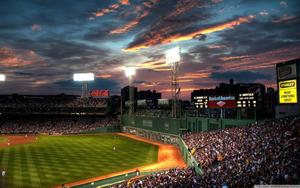 Fans cheer on their team at the baseball stadium baseball wallpaper