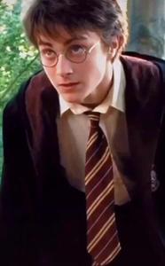 Fans of the Harry Potter series can only dream of discovering the many magical wonders at Hogwarts School of Witchcraft and Wizardry. harry potter wallpaper
