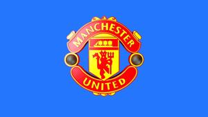 Fans showing their support for Manchester United manchester united wallpaper