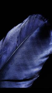 Feather 4K Ultra HD Dark Phone 4k ultra hd dark phone wallpaper