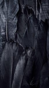 Feathers 4K Ultra HD Dark Phone 4k ultra hd dark phone wallpaper
