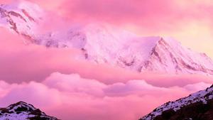 Feel the Cool of Pink pink cool aesthetic wallpaper