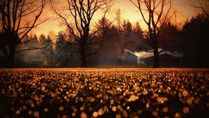 Feel the fall, feel alive. fall aesthetic wallpaper