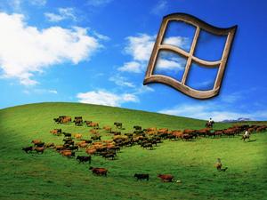 Feel the nostalgia of the classic Windows XP desktop windows xp wallpaper