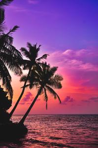 Feel the warmth of summer's sunset summer wallpaper