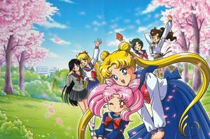 Fight for Love and Justice with the Sailors Scouts! sailor moon wallpaper