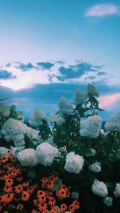 Find solace in the beauty of blue blue aesthetic wallpaper