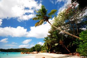 Find tranquility and relaxation at this beach resort surrounded by the beauty of nature. beach wallpaper