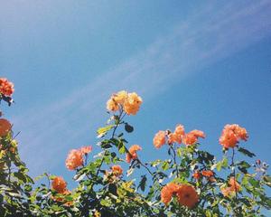 Find your inner-calm with this tranquil blue aesthetic blue aesthetic wallpaper
